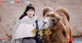 �������Ⱦ硶���Ǽǡ� ڹ��Ӣ�۳�����֮��