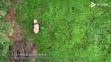 ��ѹ&ldquo;���&rdquo;������BBC���ⲿ&ldquo;���й��ĵ�